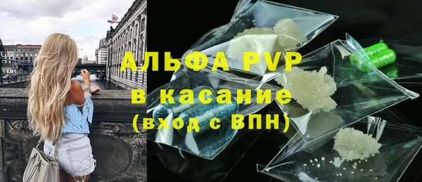 стафф Белокуриха