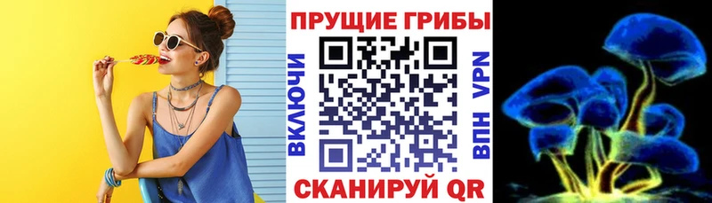 Псилоцибиновые грибы Psilocybe  Всеволожск 