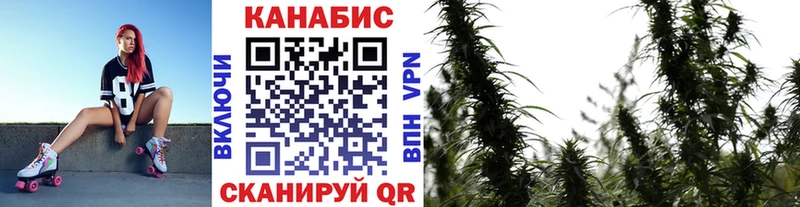 Шишки марихуана сатива  Всеволожск 